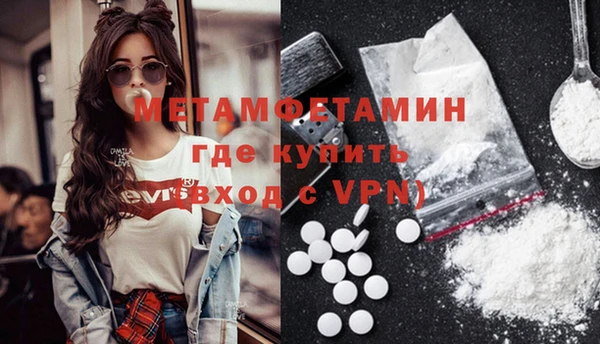 прущие грибы Лабытнанги