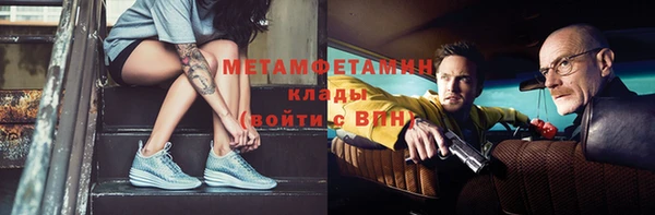 прущие грибы Лабытнанги