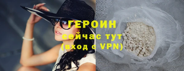 прущие грибы Лабытнанги