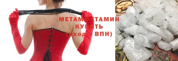 прущие грибы Лабытнанги