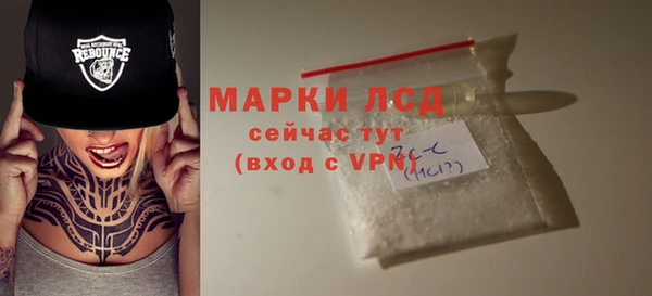 прущие грибы Лабытнанги