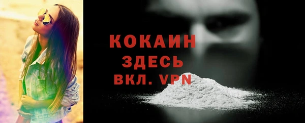 прущие грибы Лабытнанги