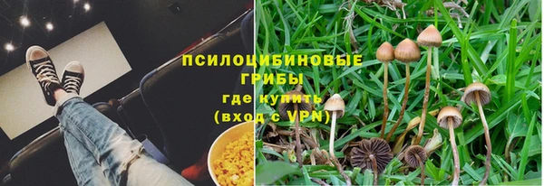 соль курить ск Лагань