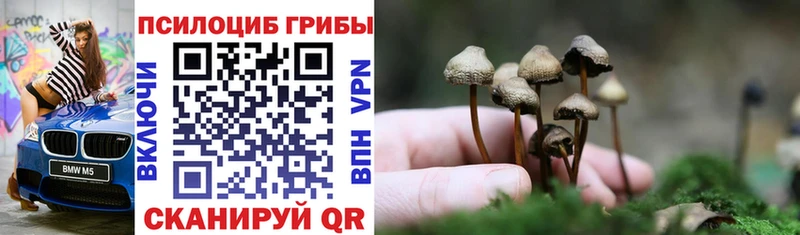 Псилоцибиновые грибы Cubensis  Лысьва 